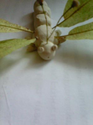 Комахи з природного матеріалу