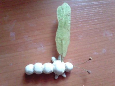 Комахи з природного матеріалу