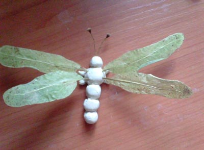 Комахи з природного матеріалу