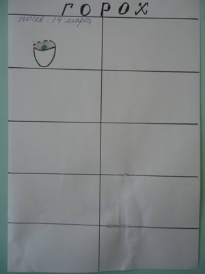 Конспект заняття 