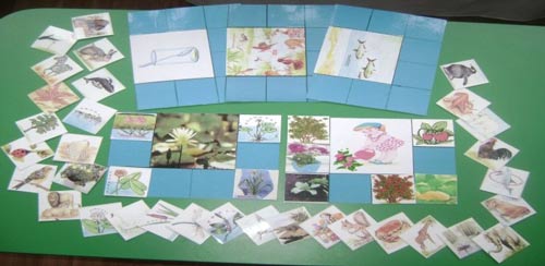 Лото «Кому потрібна вода?»