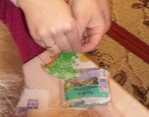 «Зимова ялинка»