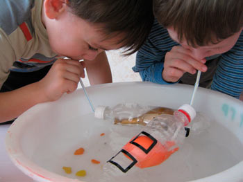 дослідження