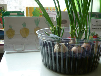 «Дачка в Ромашкова»