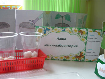 «Дачка в Ромашкова»