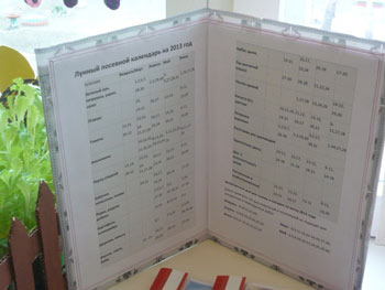 «Дачка в Ромашкова»