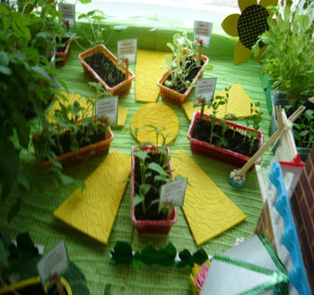 «Дачка в Ромашкова»