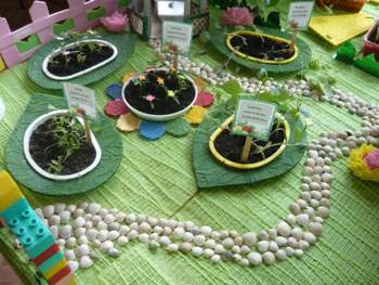 «Дачка в Ромашкова»