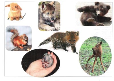 Пальчикова гімнастика 