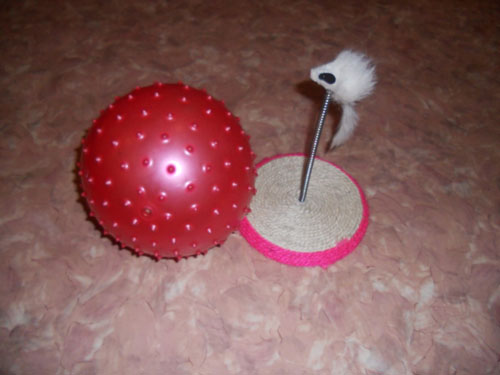 «Спритний мишеня»