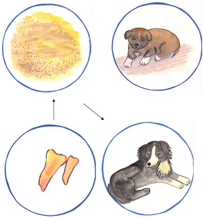 Собака з песенятами