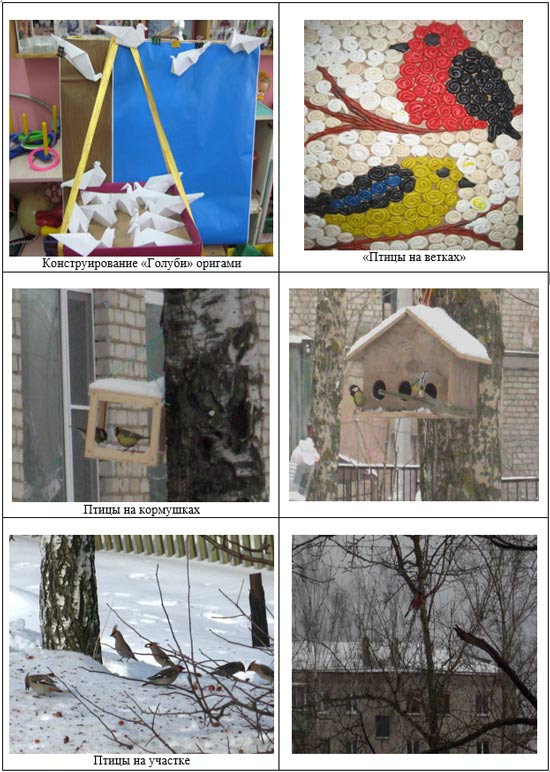 зимуючі птахи