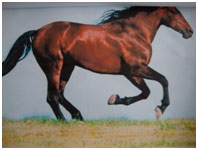 «Подорож в село до бабусі»