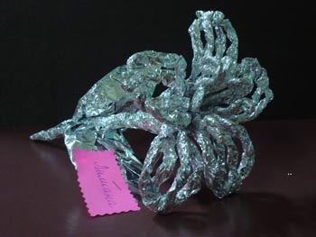 Красиві квіти