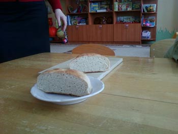 Експериментальна діяльність