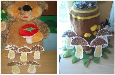 Гриб-боровик