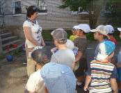 розвага «Підняти вітрила»