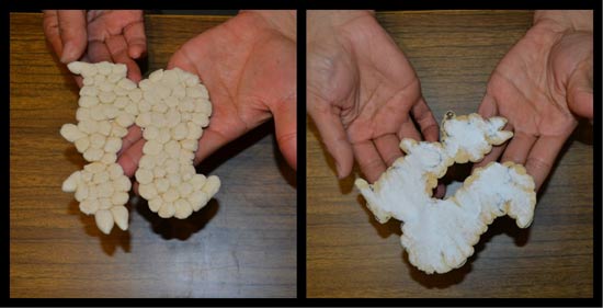 майстер-клас