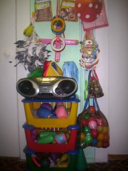 фізкультурно-оздоровчий центр 